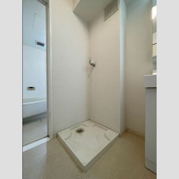 洗面所 (室内洗濯機置場)