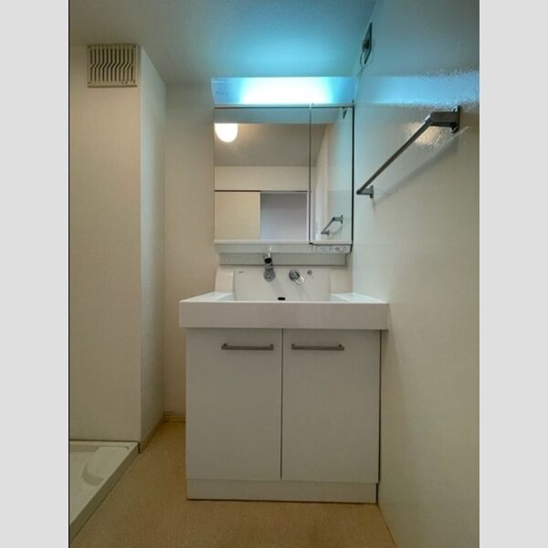 洗面所 (洗髪洗面化粧台)