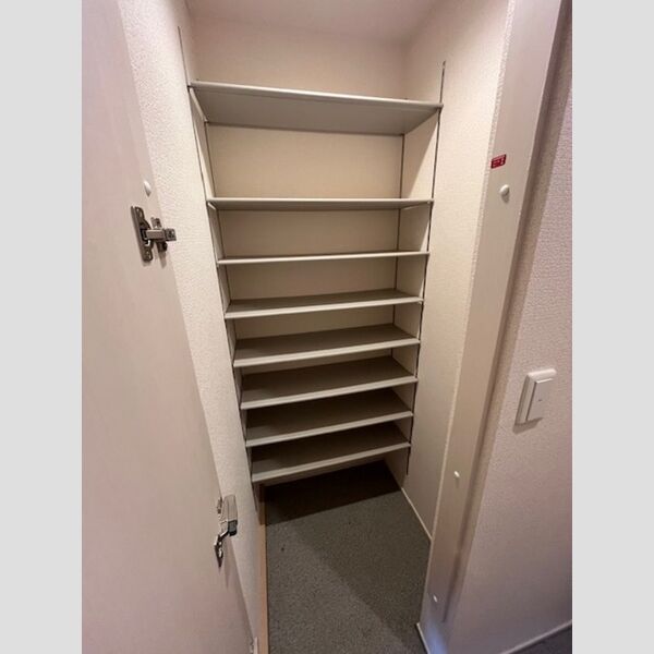 玄関 (シューズクローク)