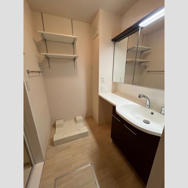 洗面所 (洗髪洗面化粧台・室内洗濯機置場)