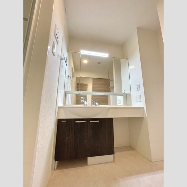 洗面所 (洗髪洗面化粧台)