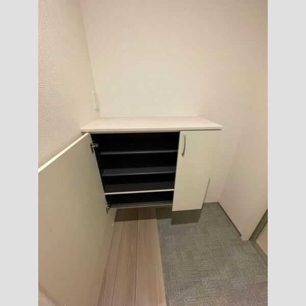 玄関 (シューズボックス)