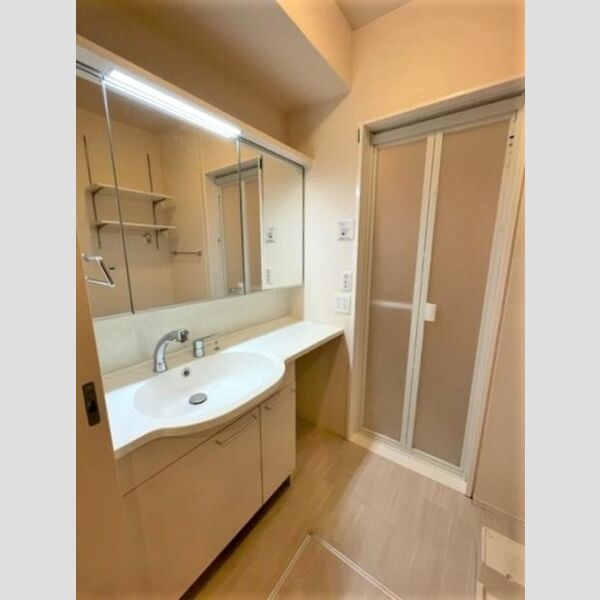 洗面所 (洗髪洗面化粧台)