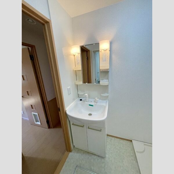 洗面所 (洗髪洗面化粧台)