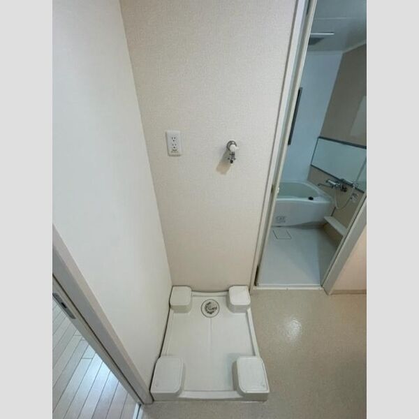 洗面所 (室内洗濯機置場)