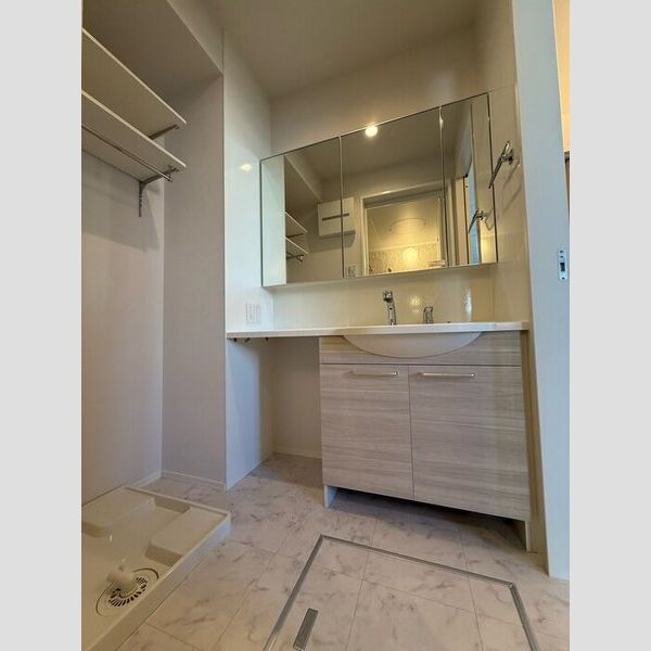 洗面所 (洗髪洗面化粧台・室内洗濯機置場)