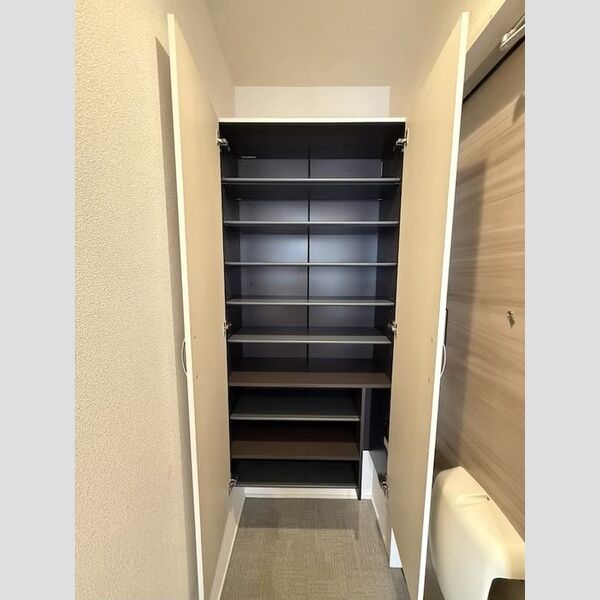 玄関 (シューズボックス)