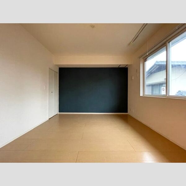 その他 (南西洋室)