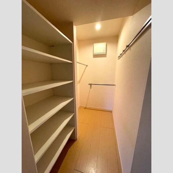 収納 (ウォークインクローゼット(南西洋室))