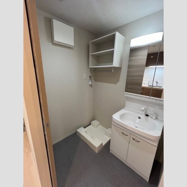 洗面所 (洗髪洗面化粧台・室内洗濯機置場)