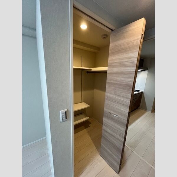 収納 (ウォークインクローゼット)