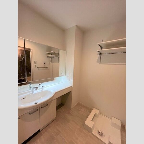 洗面所 (洗髪洗面化粧台・室内洗濯機置場)