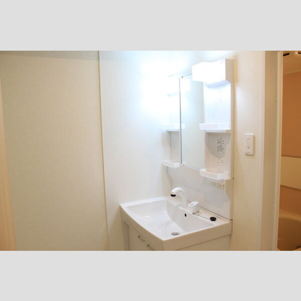 洗面所 (洗髪洗面化粧台)