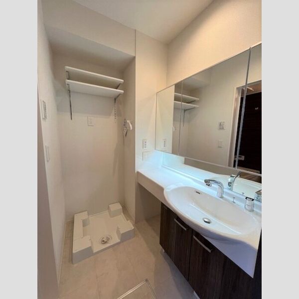 洗面所 (洗髪洗面化粧台・室内洗濯機置場)