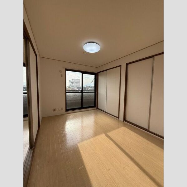 その他 (南西洋室)