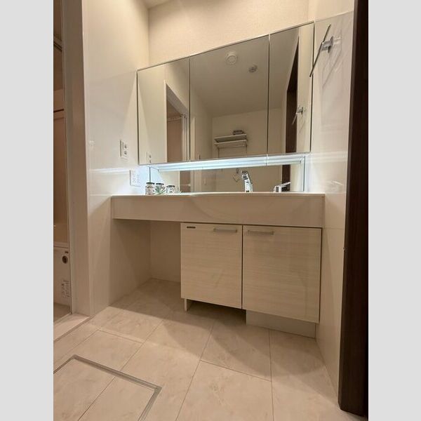 洗面所 (洗髪洗面化粧台)