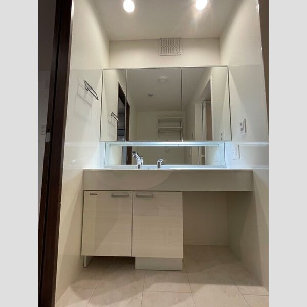 洗面所 (洗髪洗面化粧台)