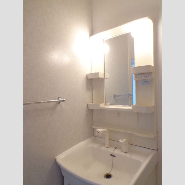 洗面所 (洗髪洗面化粧台)