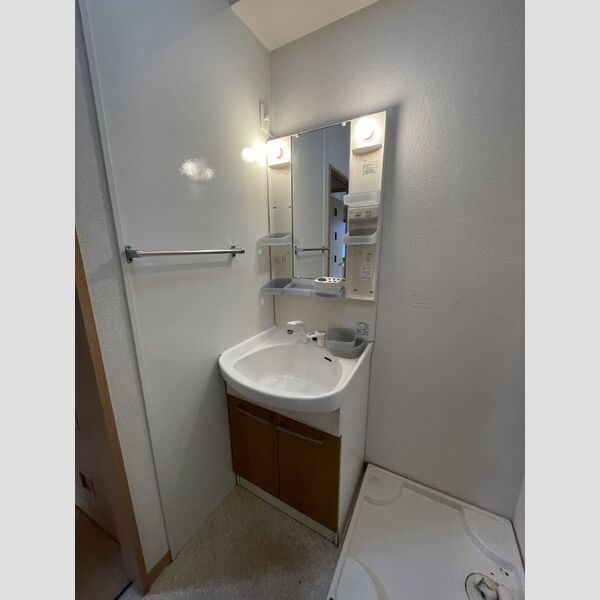 洗面所 (洗髪洗面化粧台・室内洗濯機置場)