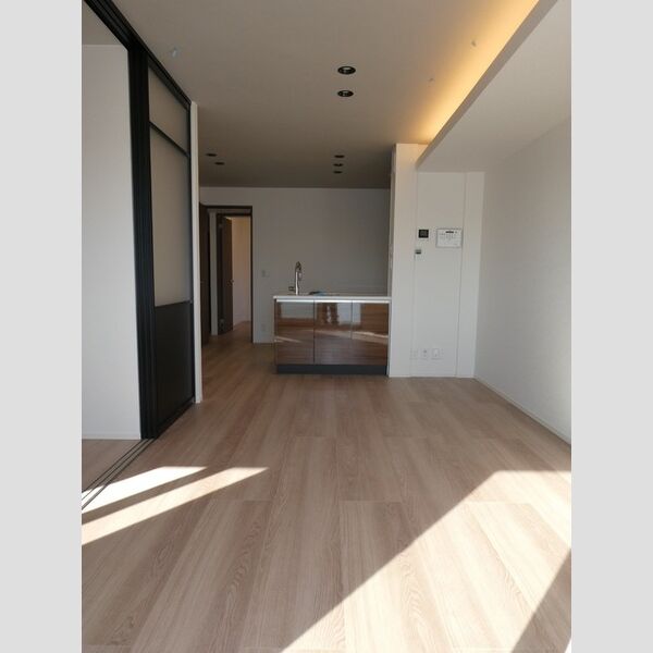 居室・リビング (LDK)