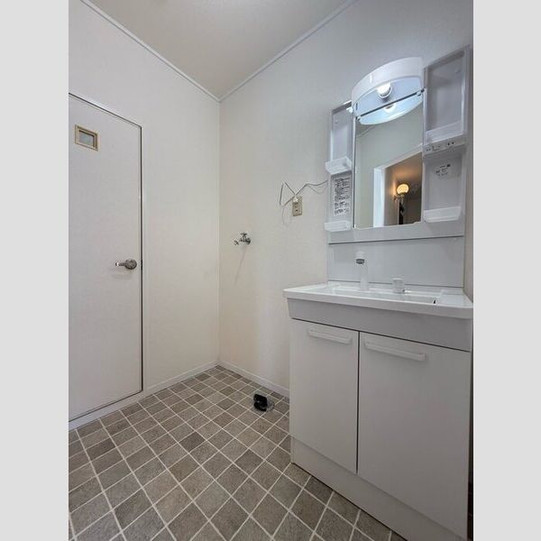 洗面所 (洗髪洗面化粧台・室内洗濯機置場)