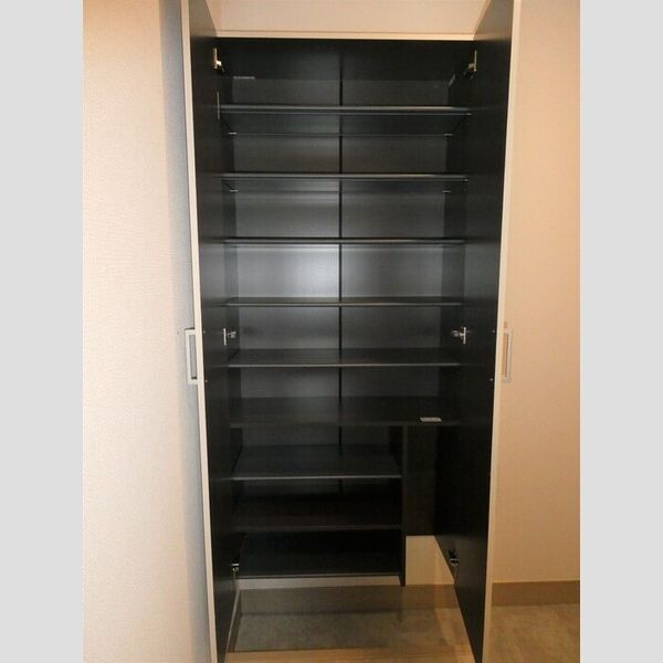 玄関 (シューズボックス)