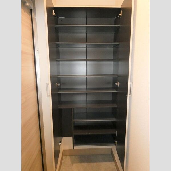 玄関 (シューズボックス)