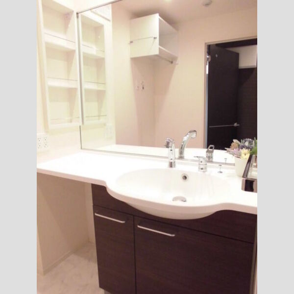 洗面所 (303号室:洗髪洗面化粧台)