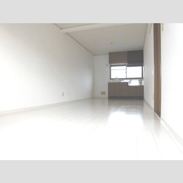 居室・リビング (LDK)