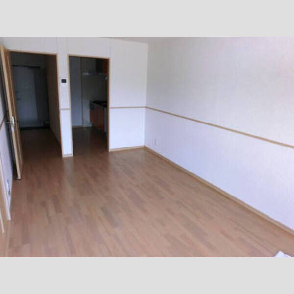 居室・リビング (203:LDK)