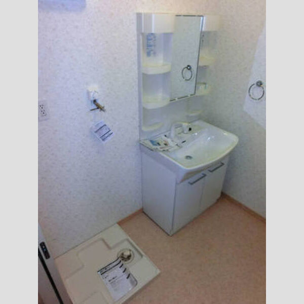 洗面所 (203:洗髪洗面化粧台・洗濯機置場)