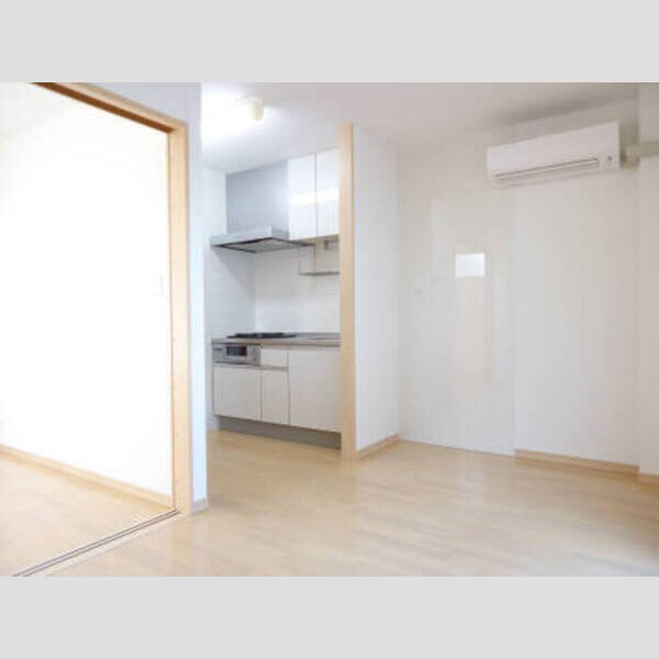 居室・リビング (303:LDK(エアコン)・システムキッチン)