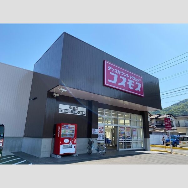 現地周辺 (コスモス中通店)