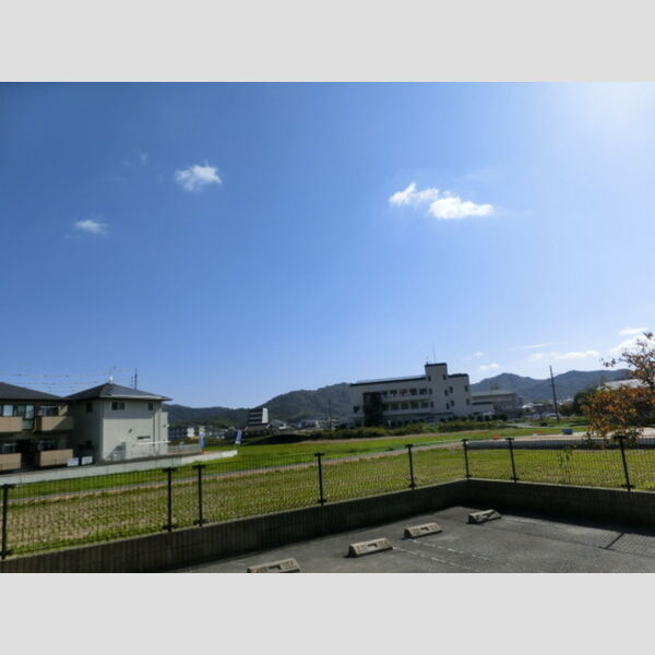 現地周辺 (眺望)