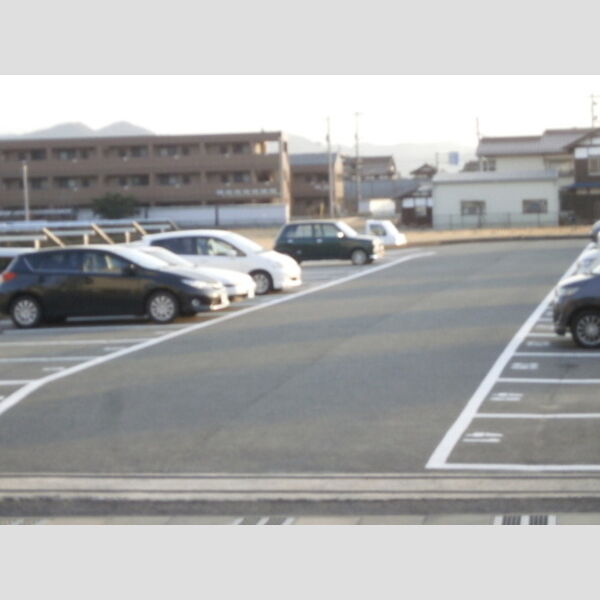 現地周辺 (眺望)