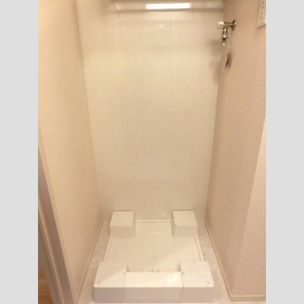 その他 (室内洗濯機置場)