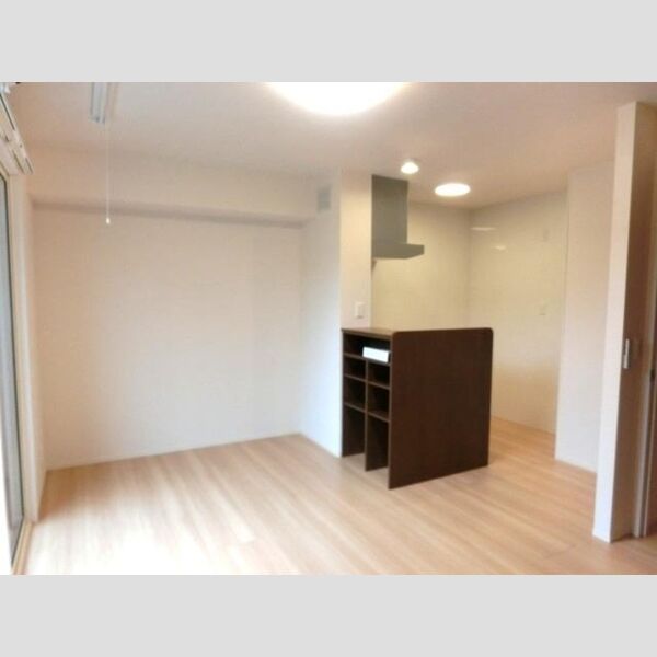 居室・リビング (LDK(エアコン・照明有り))