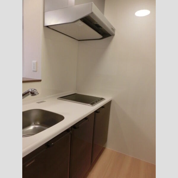 キッチン (対面システムキッチン(2口IHコンロ))