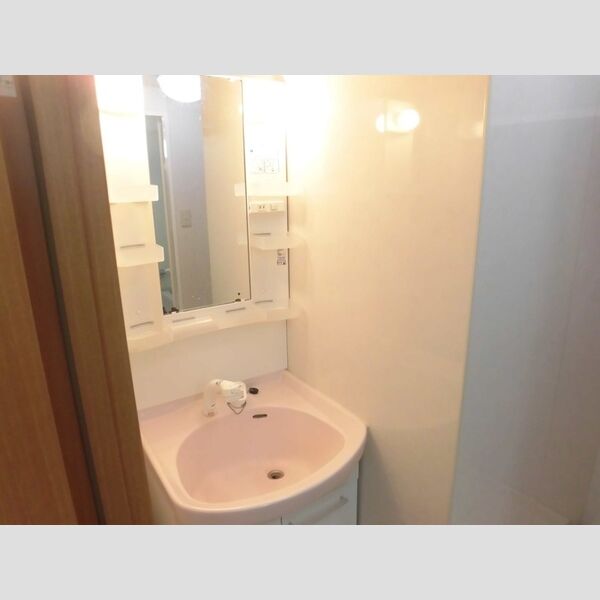 洗面所 (洗髪洗面化粧台)