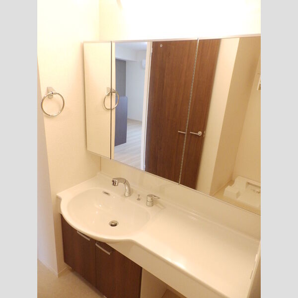 洗面所 (洗面所(洗髪洗面化粧台))