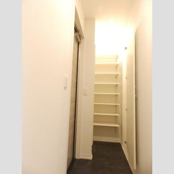 収納 (玄関収納)