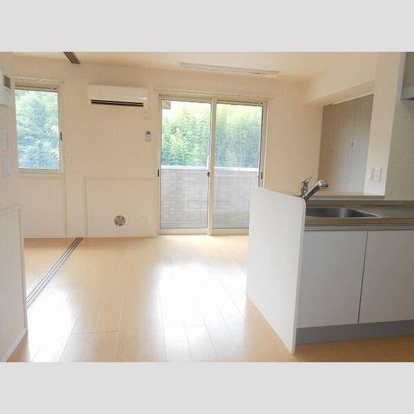 居室・リビング (LDK【エアコン有】)