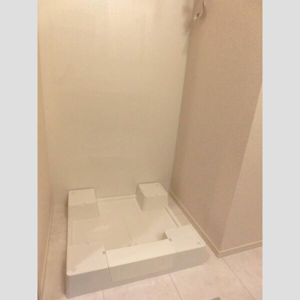 その他 (室内洗濯機置場)