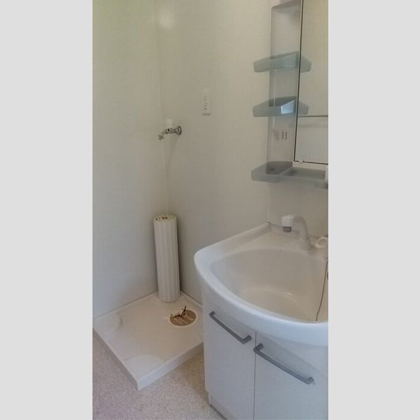 洗面所 (洗髪洗面化粧台、室内洗濯機置場)