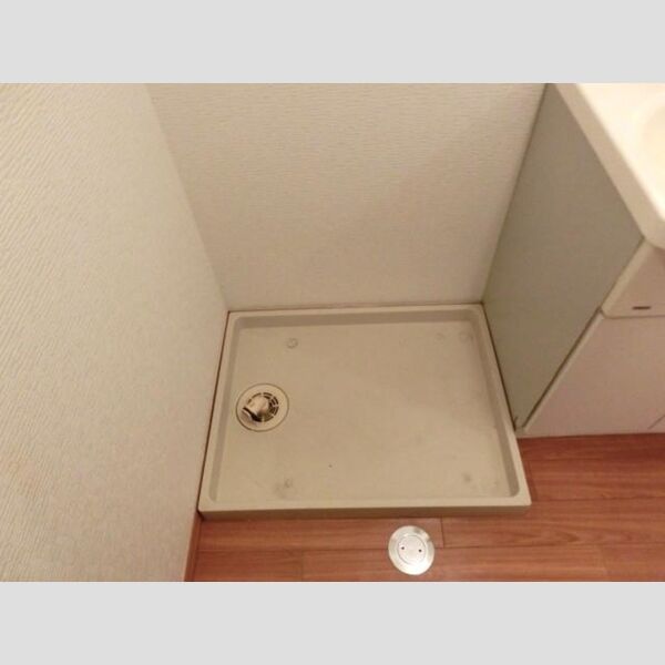 その他 (室内洗濯機置場)