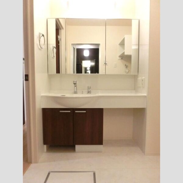 洗面所 (洗髪洗面化粧台)