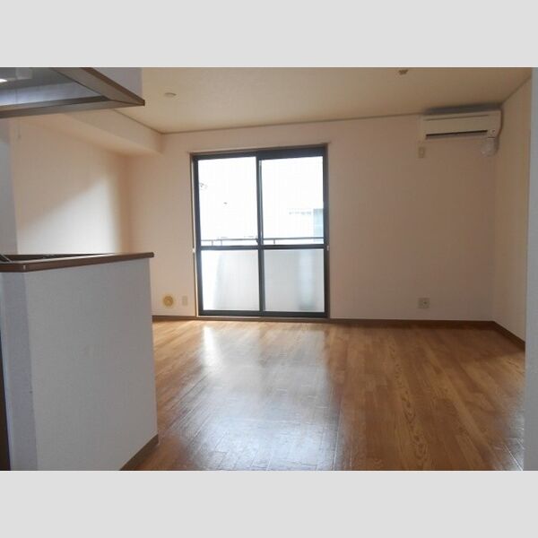 居室・リビング (LDK(エアコン、キッチン))