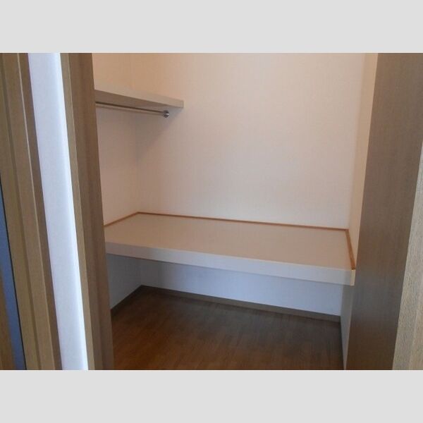 収納 (ウォークインクローゼット)