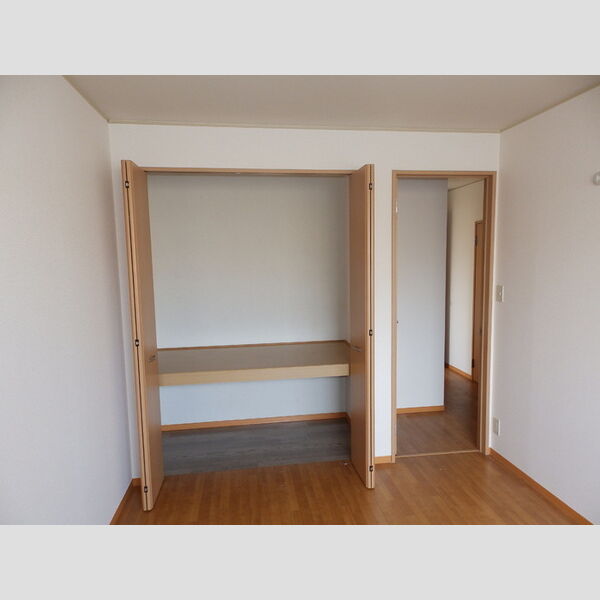 収納 (洋室収納)