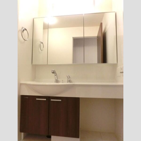 洗面所 (洗髪洗面化粧台)